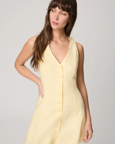 Raye Dress